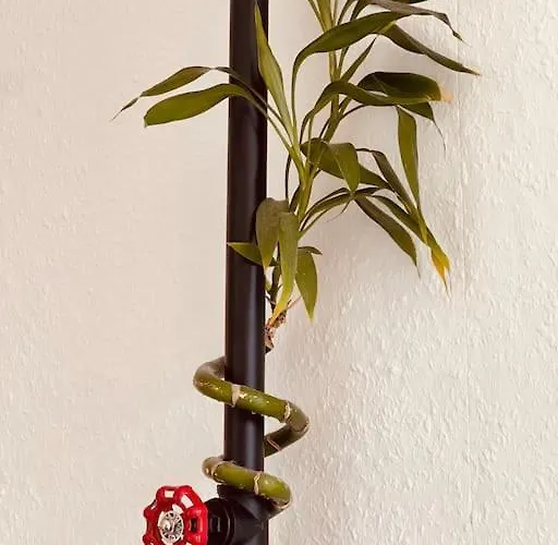 The - Direkt In Der Stadt! בוכום